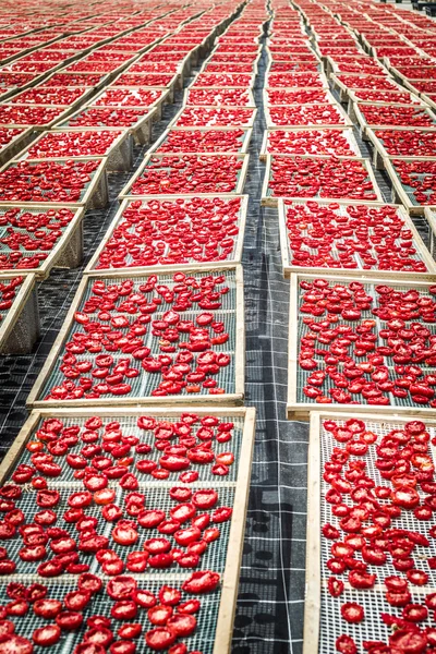 Soltorkade tomater i Sicilien — Stockfoto
