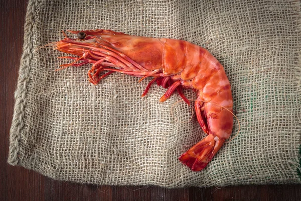 Fresh cooked shrimp — Stock Photo, Image