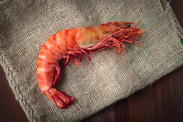 Fresh cooked shrimp — Stock Photo, Image