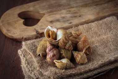 Ham taze whelks