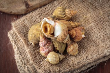 Ham taze whelks