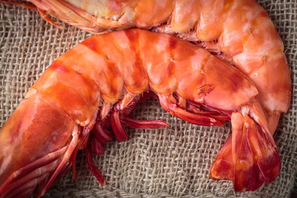 Fresh cooked shrimp — Stock Photo, Image