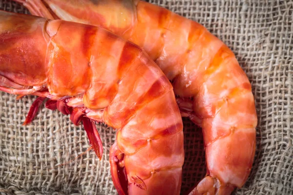 Fresh cooked shrimp — Stock Photo, Image