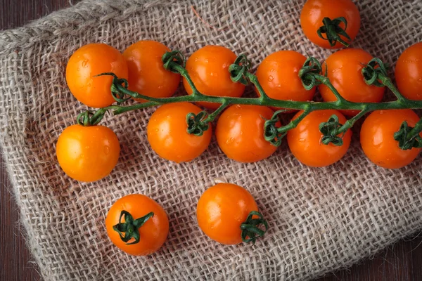 Fresh orange cherry tomatoes — Stock Photo, Image