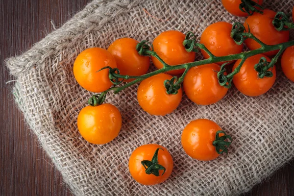 鲜橙色的樱桃西红柿 — 图库照片