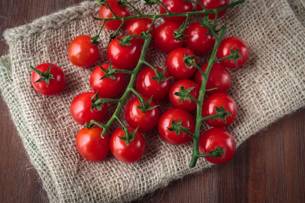 Tomates cereja em bruto frescos — Fotografia de Stock