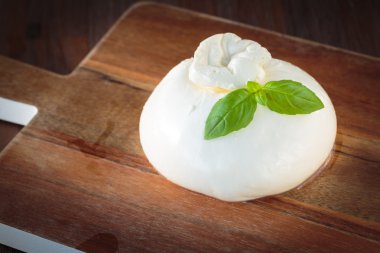 İtalyan mozzarella burrata