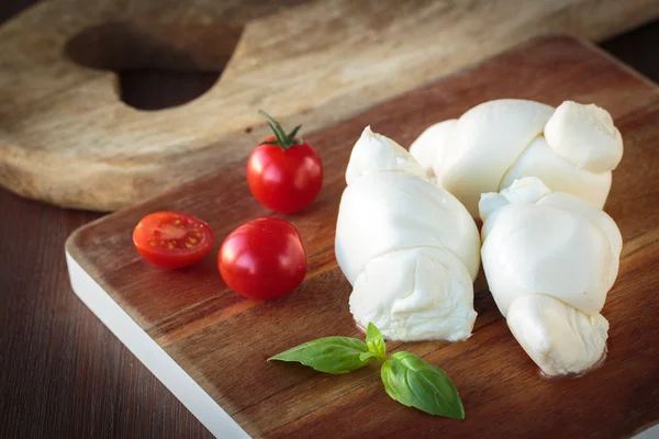 Italiensk mozzarellaost — Stockfoto