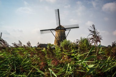 yel değirmenleri doğal