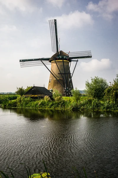 Kinderdijk의 풍차 — 스톡 사진