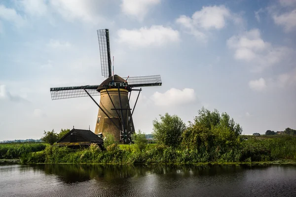 Molens in kinderdijk — Stockfoto