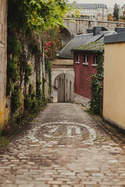Piękne Kolory Jesieni Nad Miastem Luksemburg — Zdjęcie stockowe
