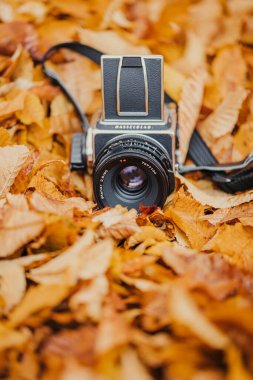 Güzel klasik format film kamerası Hasselblad 5003CW