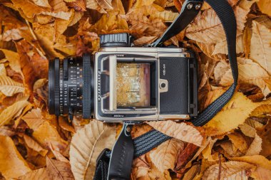 Güzel klasik format film kamerası Hasselblad 5003CW