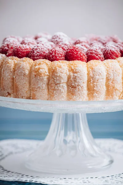 Delicious French Charlotte Cake Raspberries Savoiardi Biscuits — Stock Photo, Image