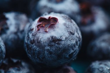 Taze taze yaban mersininin güzel makrosu