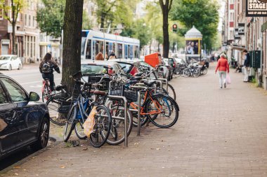 Hollanda, Amsterdam 'da gizli sokak hayatı