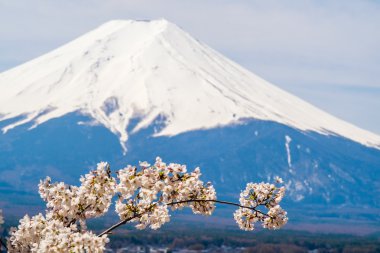 Fuji Dağı