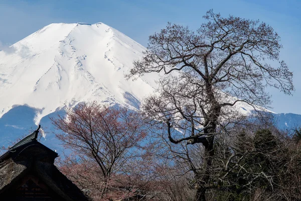 O monte Fuji — Fotografia de Stock