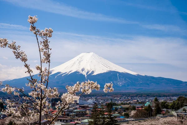 A mount Fuji — Stock Fotó