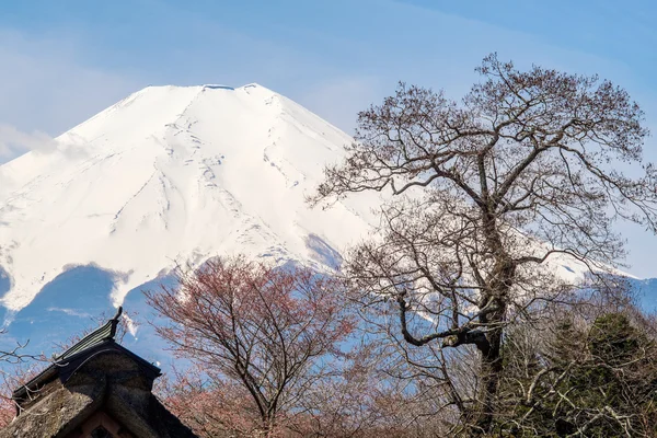 O monte Fuji — Fotografia de Stock