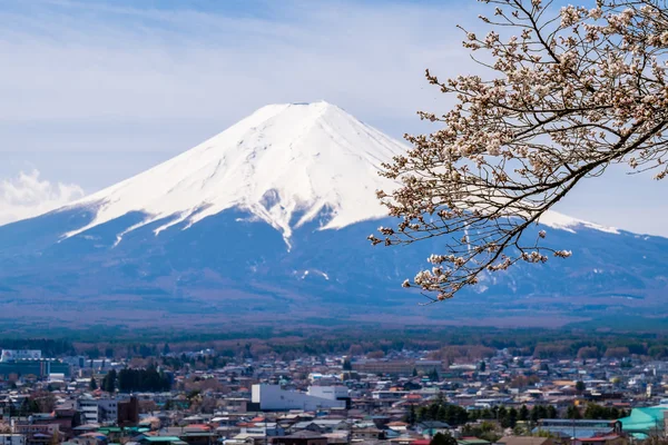 Mount Fuji — Zdjęcie stockowe