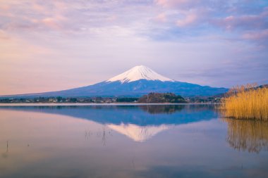 Fuji Dağı'nın Japonya