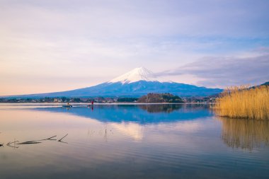 Fuji Dağı'nın Japonya