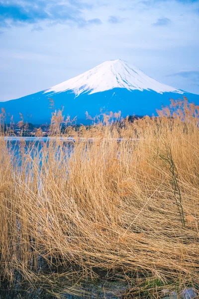 The mount Fuji in Japan — Stock Photo, Image