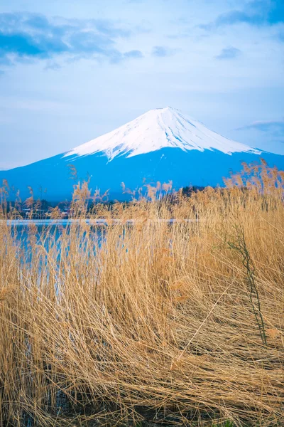 The mount Fuji in Japan — Stock Photo, Image