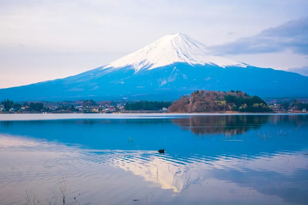 The mount Fuji in Japan — Stock Photo, Image