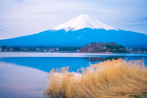 The mount Fuji in Japan — Stock Photo, Image