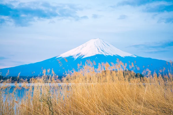 Mount Fuji w Japonii — Zdjęcie stockowe