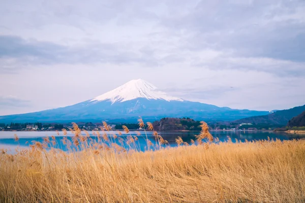 Mount Fuji w Japonii — Zdjęcie stockowe