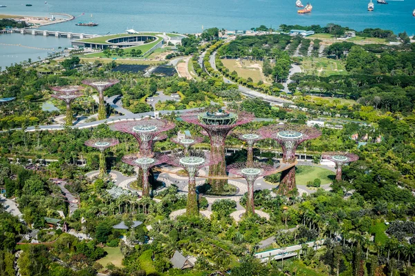 Jardin au bord de la mer, Singapour — Photo