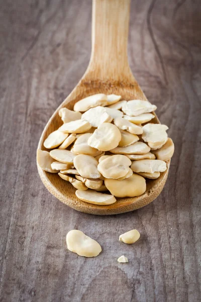 Fava kacang kering — Stok Foto