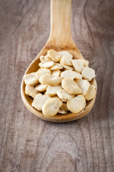 Dried fava beans — Stock Photo, Image