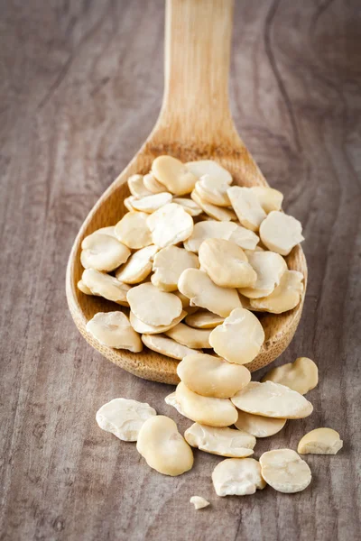 말린된 fava 콩 — 스톡 사진