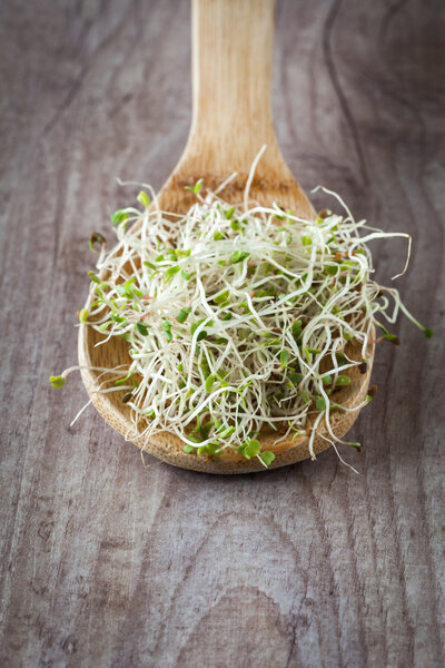 Микробы сои
