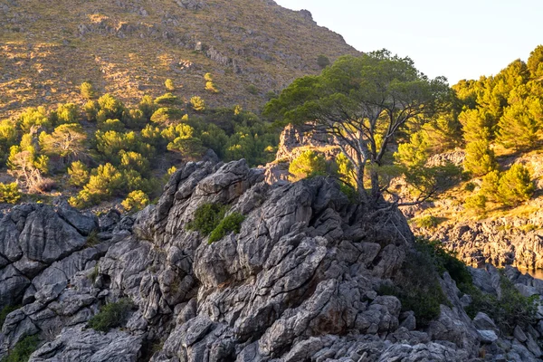Isla de Mallorca — Foto de Stock