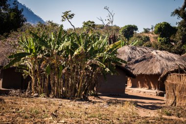 Malawi
