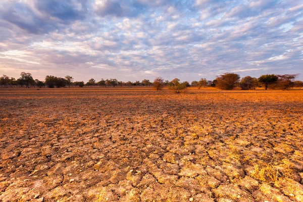 Paisagem africana — Fotografia de Stock