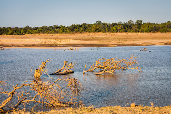 Африканский пейзаж
