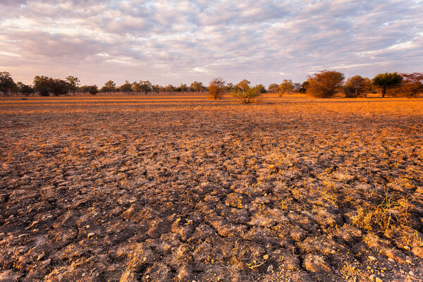 Африканский пейзаж
