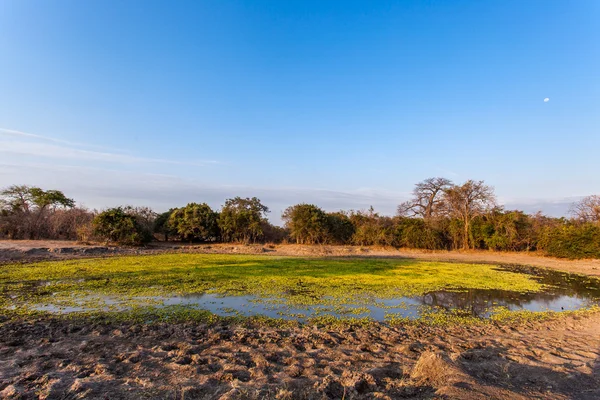 Afrikaanse landschap — Stockfoto