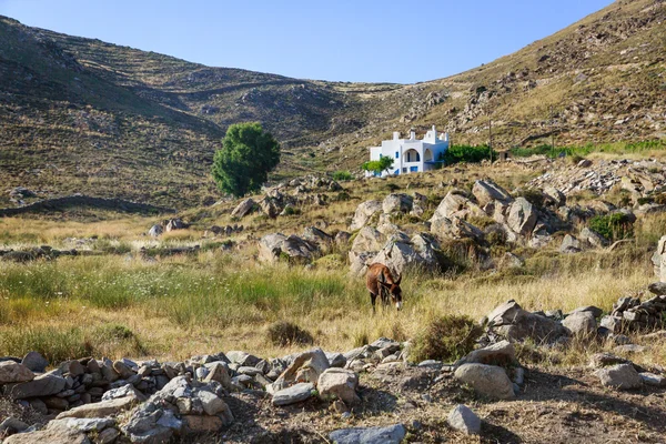 Paros, Yunanistan — Stok fotoğraf