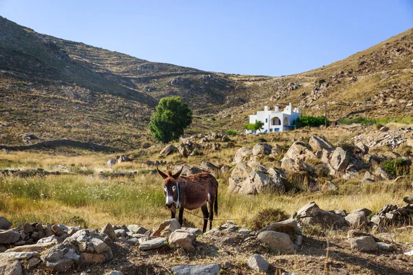 Paros, Yunanistan — Stok fotoğraf