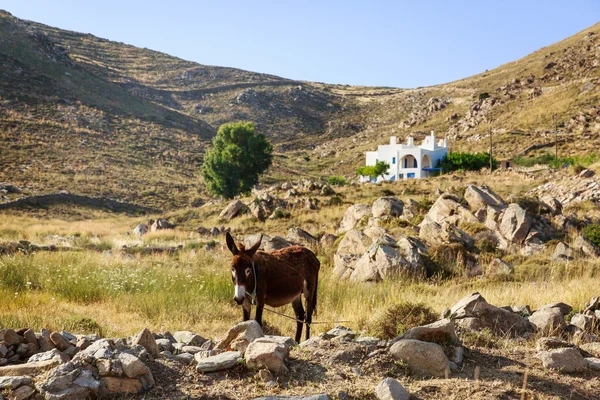 Paros, Grécia — Fotografia de Stock