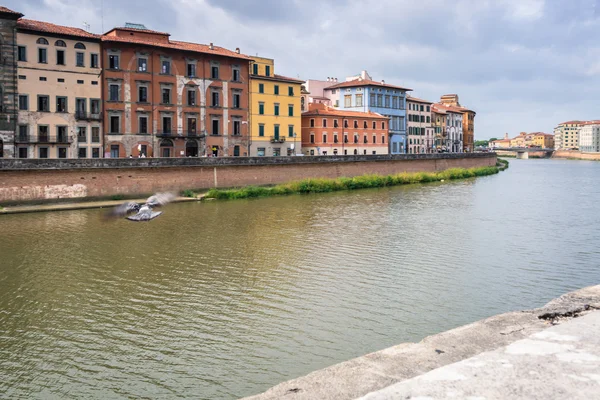 Pisa — Foto de Stock