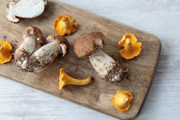 Edible mushrooms — Stock Image Edible mushrooms Royalty Free Stock Photos